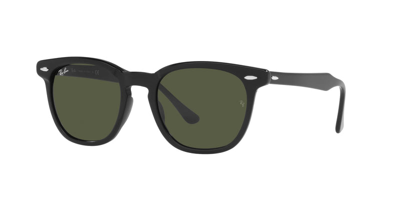 Lentes de Sol Ray Ban Negro RB2298