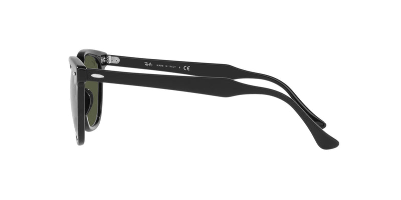 Lentes de Sol Ray Ban Negro RB2298