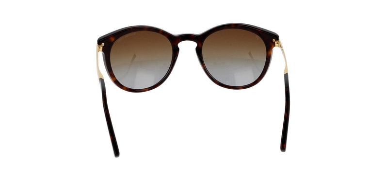 Lentes de Sol Michael Kors MK2023 Havana-Solaris México